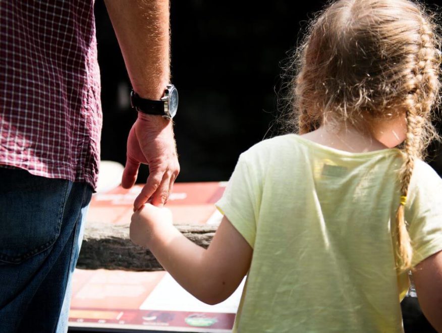 Dealing with parental access in Toronto