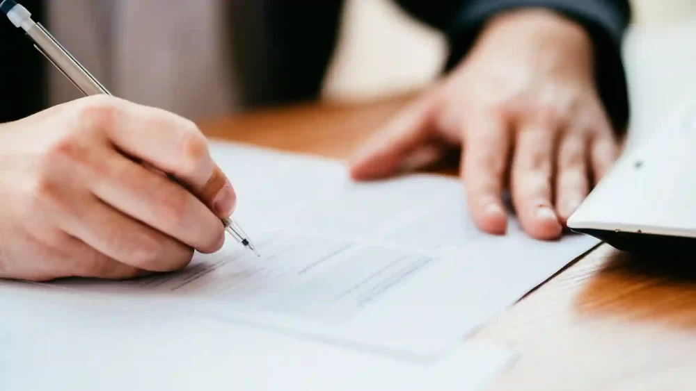 Blog (What Are Pleadings)