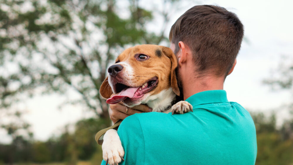 Image Article (October 2026) Who Gets the Pet When You Separate